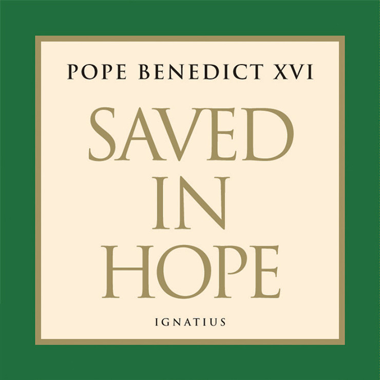 Saved in Hope Audiobook