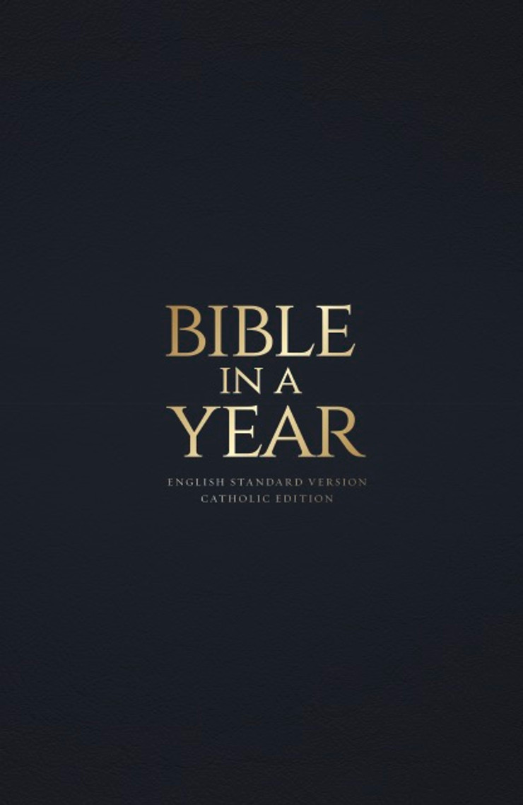 Navy Bonded Leather - Bible in a Year