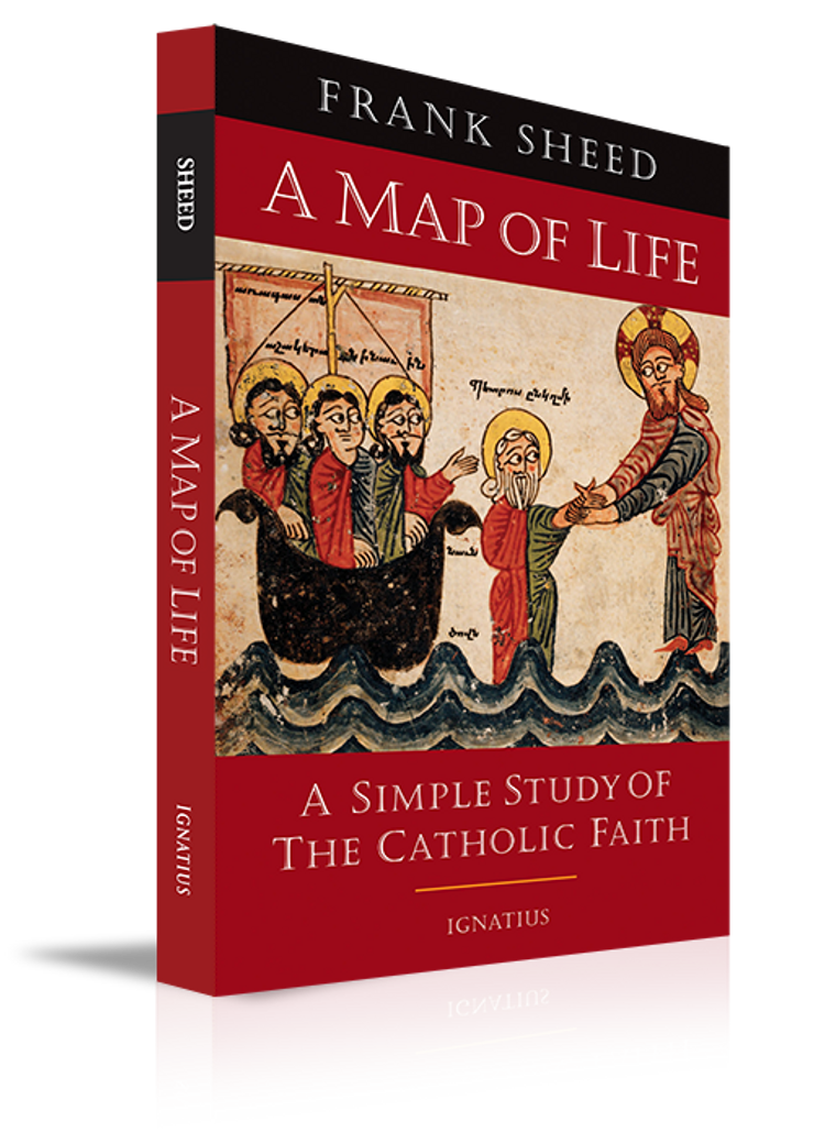 A Map of Life Book