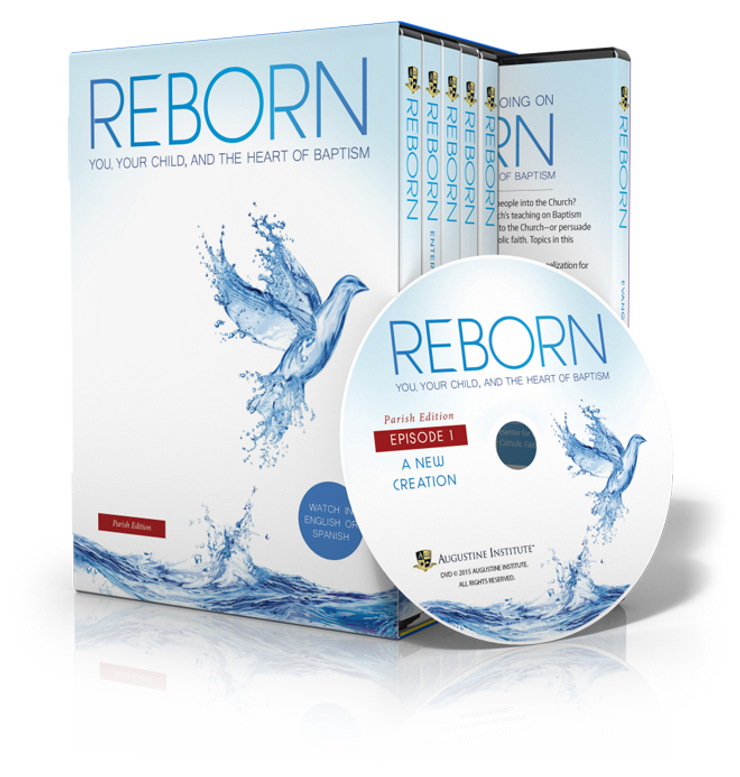 Reborn Parish Edition - DVD Set (Spanish and English)