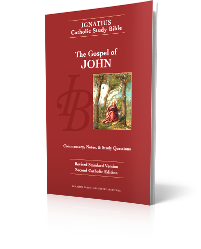 The Gospel of John - Study Bible (Paperback)