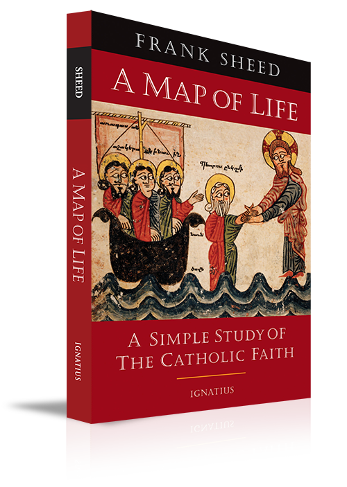 A Map of Life (Paperback)