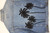 SOLD OUT Black Embroidered Palms Jacket #16 