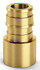 PEX QE775GX F1960 EXPANSION XL BRASS FEMAL SWEAT ADAPTER 3/4"EX PEX x 3/4"FEMALE SWEAT
