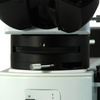 50X-1000X Polarizing Microscope, Trinocular, Dual Halogen Light, for Geology, Petrology, Laboratories