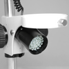 Microscope Post Stand, 76mm Fine Focus Rack, Top and Bottom LED Light (Dimmable)