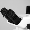 WF 10X Widefield Focusable Microscope Eyepieces, High Eyepoint, 30mm, FOV 22mm, Adjustable Diopter (Pair) SZ05023221