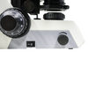 100-1000X LED Coaxial Transmitted Light XY Stage Travel Distance 78x54mm Binocular Phase Contrast Microscope Nexcope-NE620-Binocular-PH