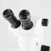 8X-50X Widefield Zoom Stereo Microscope, Binocular, Track Stand (Track Length 300mm) Rectangle Base