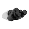 Compound Microscope Eyepiece Body Tube, Binocular, Infinite, Eyetube Angle 30 Degrees, BM03011221