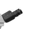 WF 10X Widefield Microscope Eyepiece with Pointer, High Eyepoint, 23.2mm, FOV 18mm (One)