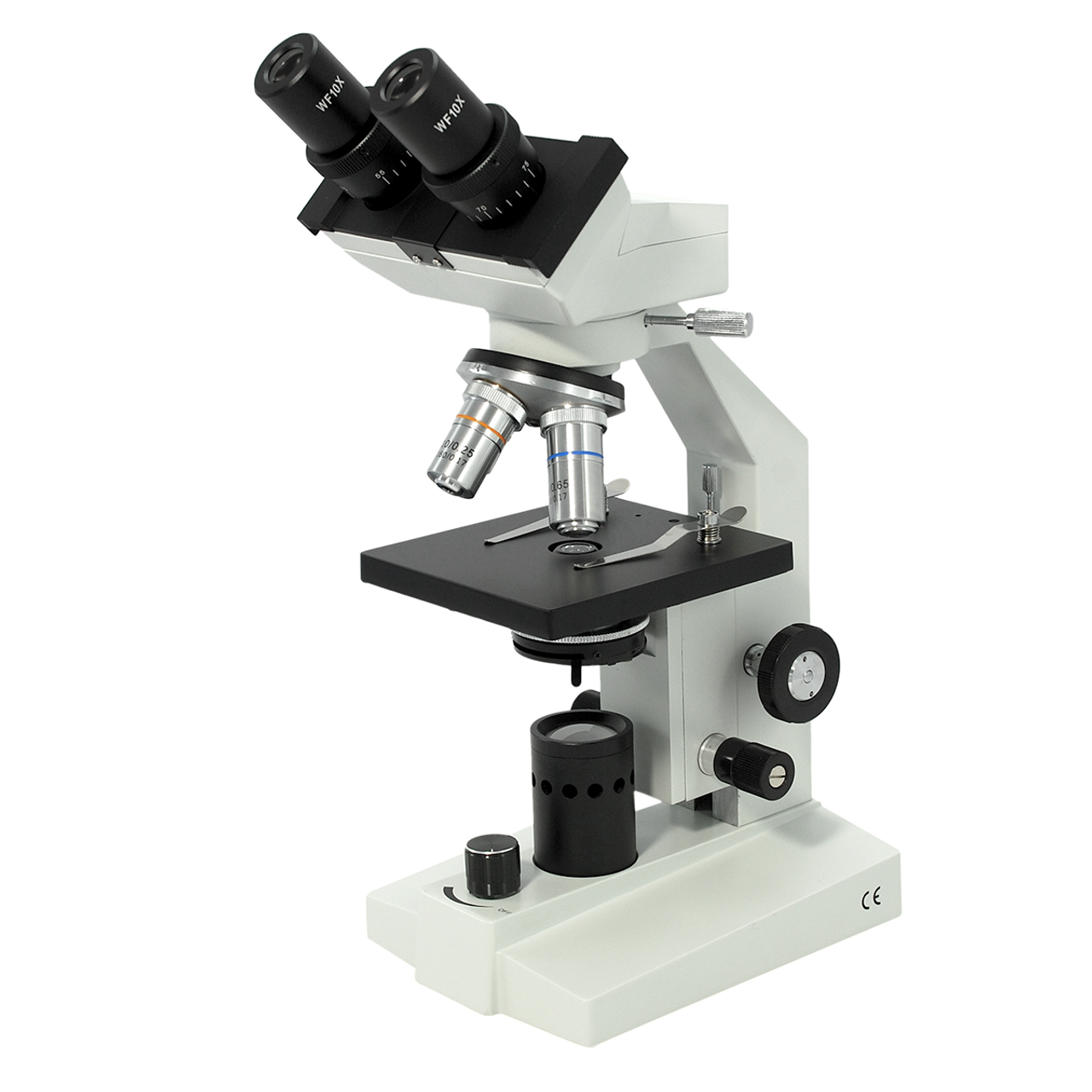 compound light microscope images