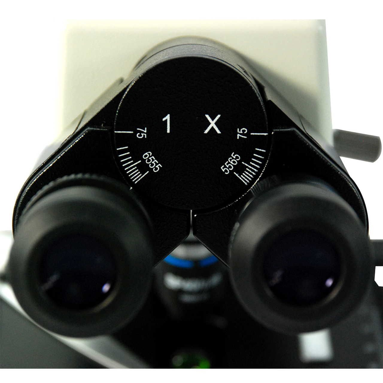 LED Lighted Magnifier, 3.5 2.75 x glass lens, Bright Triple LED ideal for  reading small print and detailed inspection