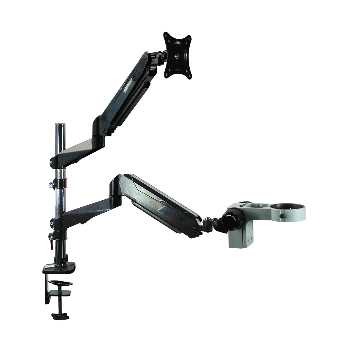 Dual Pneumatic Articulating Arm Post Clamp Stand for Stereo Microscopes ...