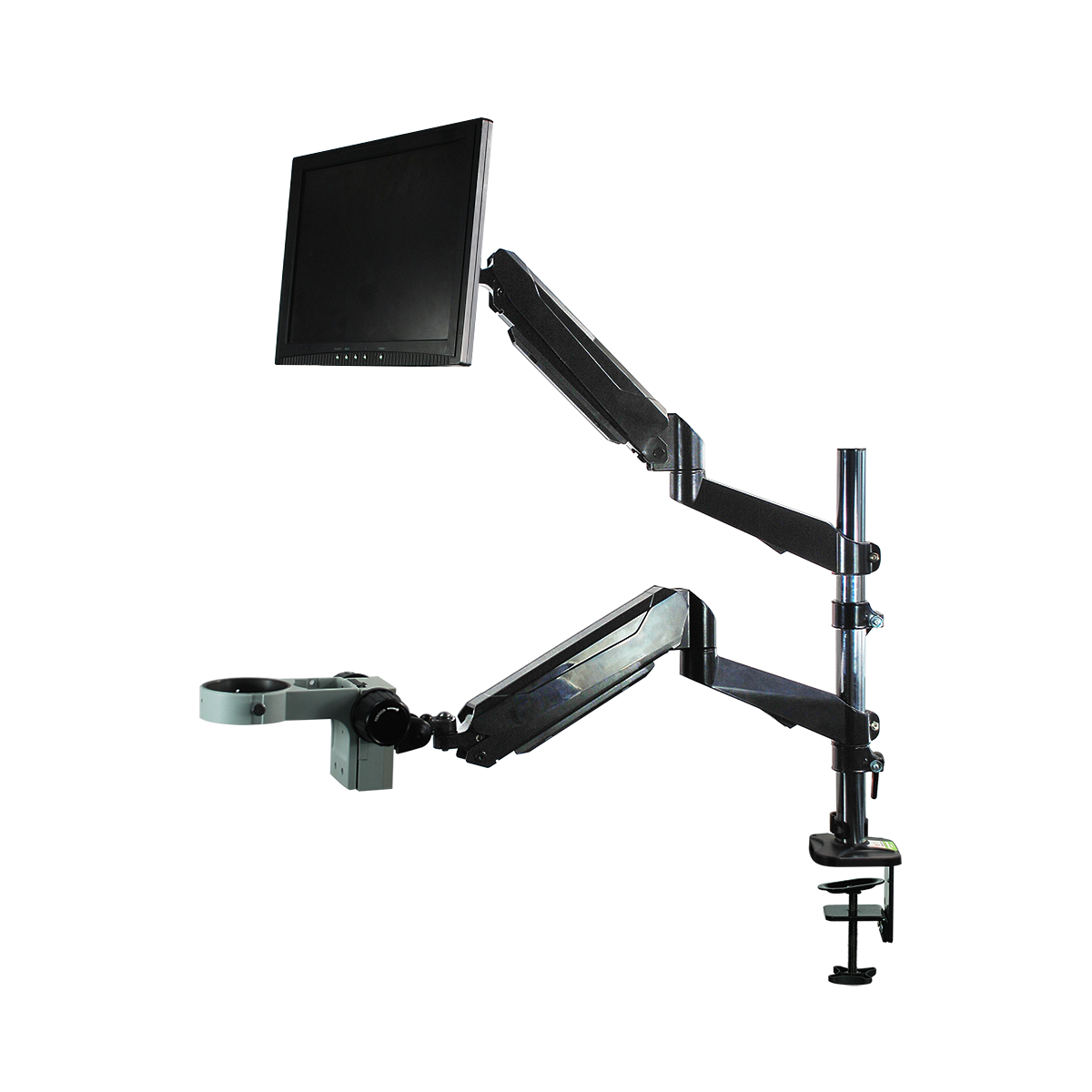 Dual Pneumatic Articulating Arm Post Clamp Stand for Stereo Microscopes ...