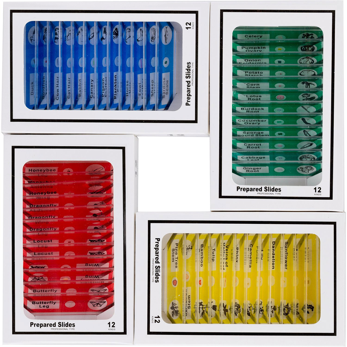 Lames De Microscope Préparées Pour Enfants,12 Pièces,animaux,insectes,plantes,échantillons De