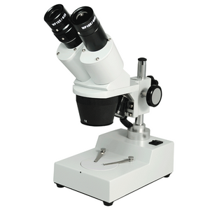 10X/30X Widefield Stereo Microscope, Binocular, Post Stand, LED Top Light (Fixed Head)