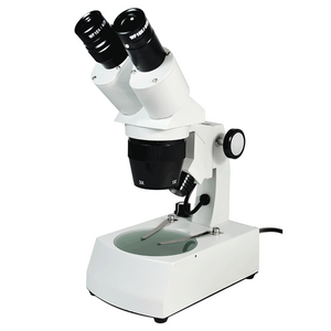 10X/30X Widefield Stereo Microscope, Binocular, Track Stand, Halogen Top and Bottom Light, Bright Field