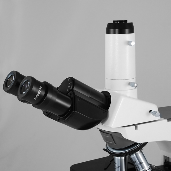 EW 10X Widefield Microscope Eyepieces, High Eyepoint, 30mm, FOV 22mm (Pair) BM13012211