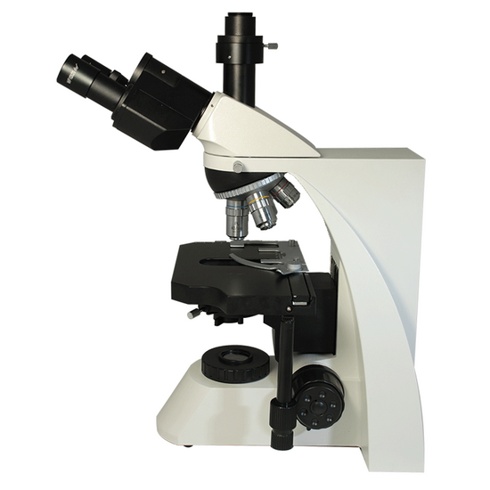 40X-1000X Biological Compound Laboratory Microscope, Trinocular, Halogen Light