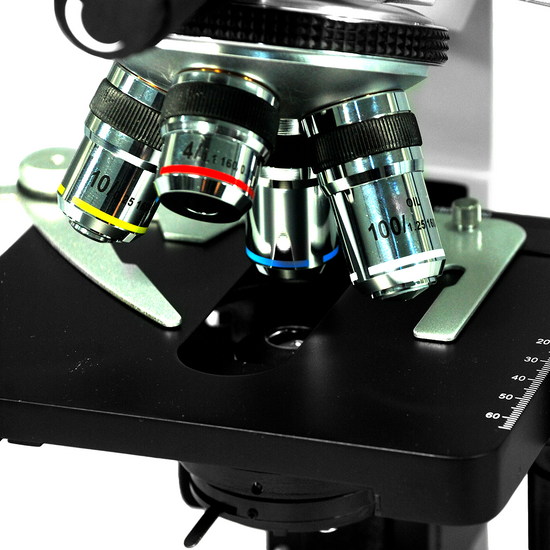 40X-1600X Five Head Multiview Teaching Compound Microscope, Binocular, Halogen Light