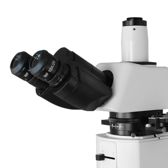 WF 10X Widefield Focusable Microscope Eyepiece with Reticle, X-Axis Crosshair, High Eyepoint, 23.2mm, FOV 20mm, Adjustable Diopter (One)