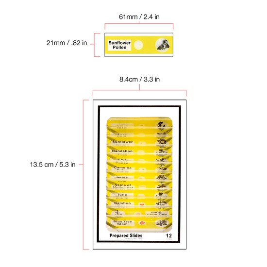 12 Pcs Kids Plastic Prepared Microscope Slides Samples (Plants)