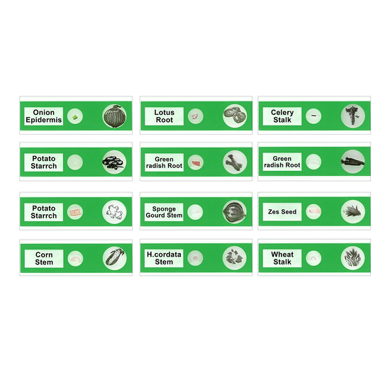 12 Pcs Kids Plastic Prepared Microscope Slides Samples (Plant Roots)