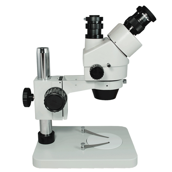 7X-45X Widefield Zoom Stereo Microscope, Trinocular, Post Stand (Height 250mm)