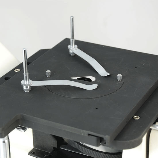 Water Droplets Plate MT04075253 Water Droplets Plate MT04075253