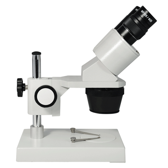 10X/20X Widefield Stereo Microscope, Binocular, Post Stand (Height 155mm) Fixed Head