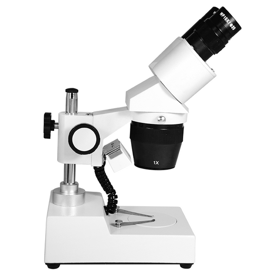 10X/30X Widefield Stereo Microscope, Binocular, Post Stand, LED Top Light (360° Rotatable Head)