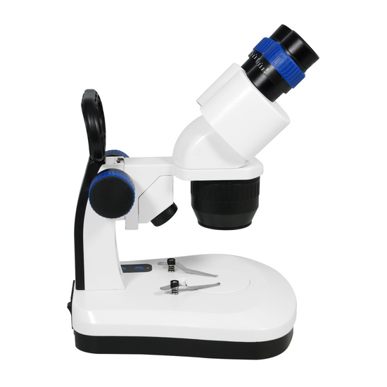 10X/30X Widefield Stereo Microscope, Bioncular, LED Top and Bottom Light, with Handle