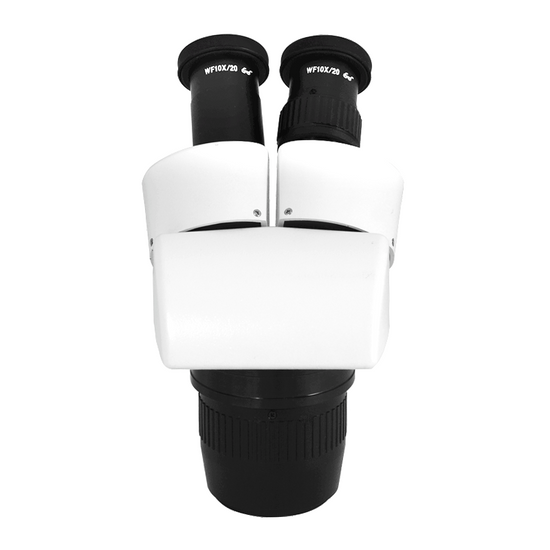 10X/20X Dual Power Stereo Microscope Head, Binocular, Focusable Eyepiece FS05031121
