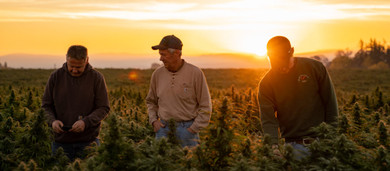 Working Directly with Farmers Working Directly with Farmers