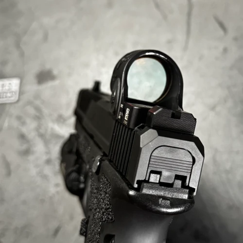 LWS Co-witness Sights