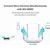 4 x 10/100 Mbps Fast Ethernet Ports - Supports Guest WiFi