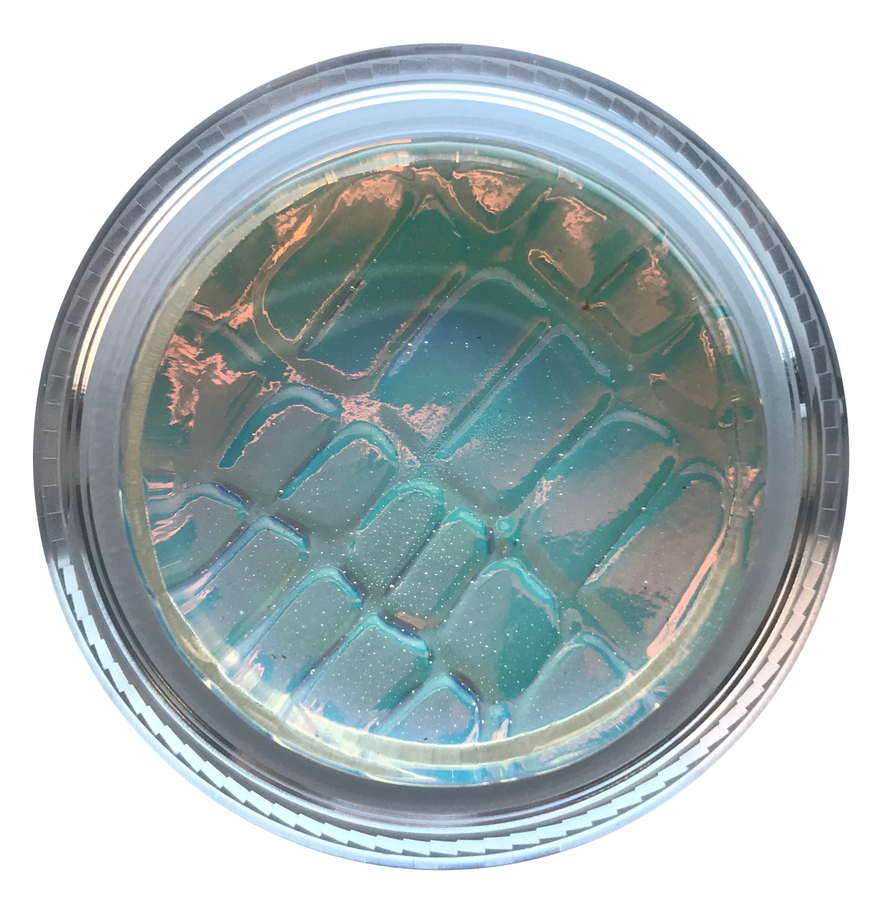 Magic Rosin- Crocodile Rocks (CRC) - Connolly Music
