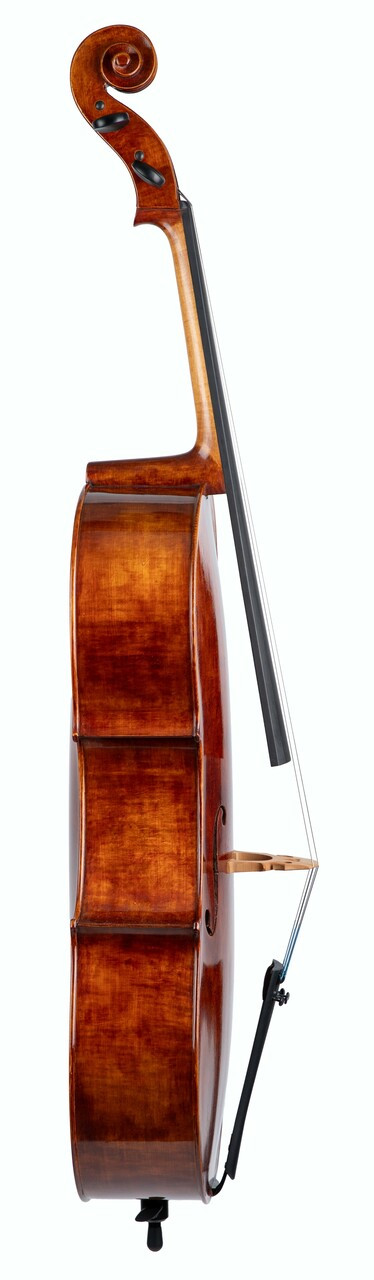 REV650 - Revelle Model 650 Cello - Connolly Music