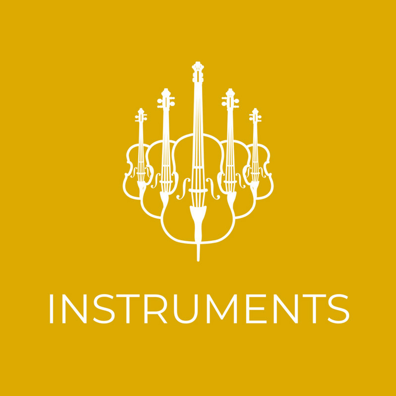 Acoustic Instruments