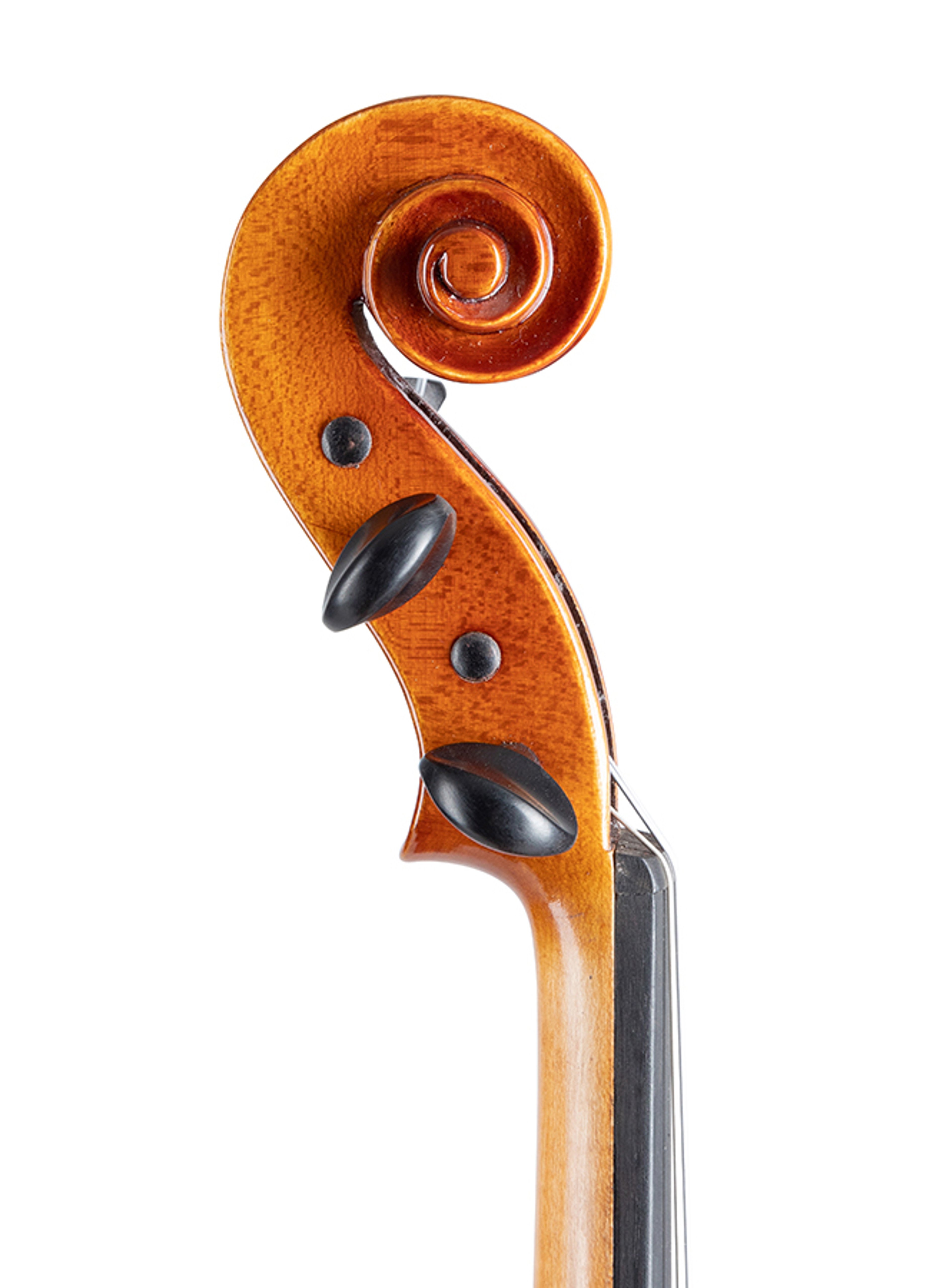 Revelle 300 Violin Scroll