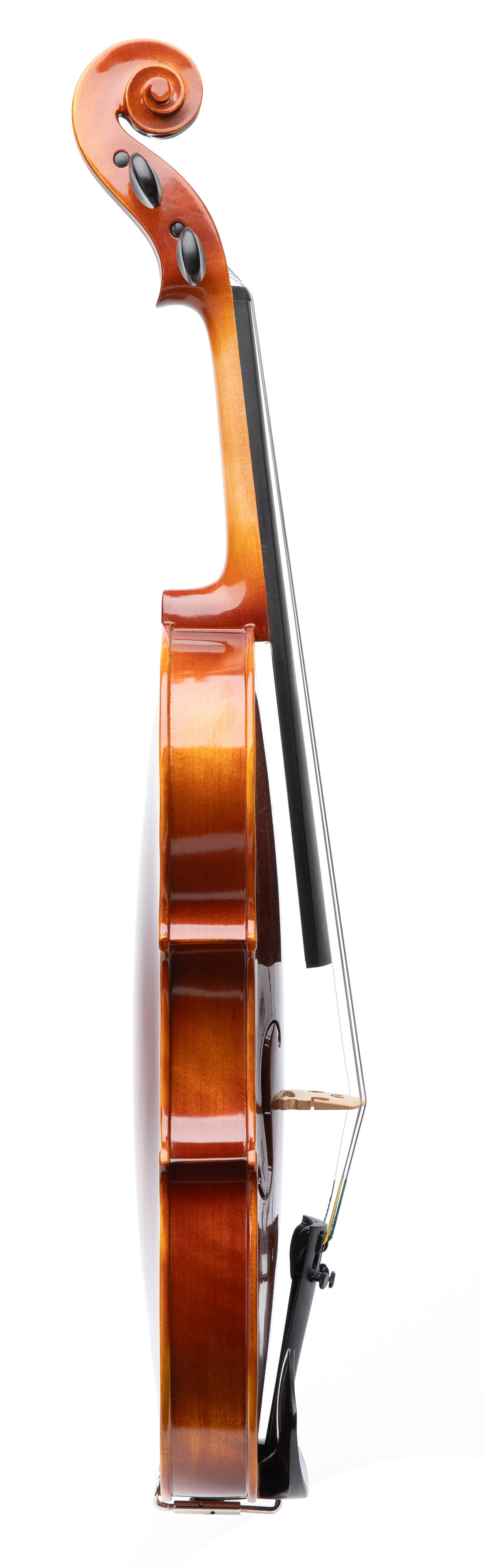 Revelle 300 Violin side view