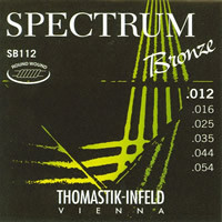 SB52 - Spectrum Bronze Guitar E