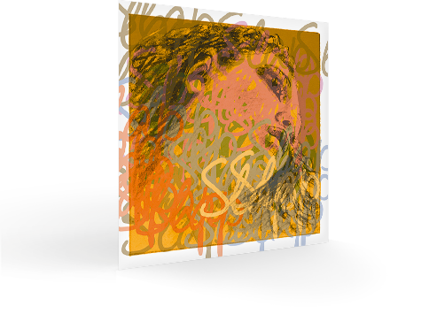 Evah Pirazzi Slap Bass Synthetic E