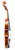 Revelle 300 Violin side view