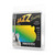 JS112 - Jazz Swing Flatwound Guitar Set