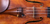 Dynamo Violin Set on Violin