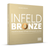 IBR53 - Infeld Bronze Acoustic Guitar E .053