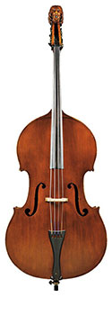 Image of Bass