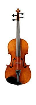 Image of Viola